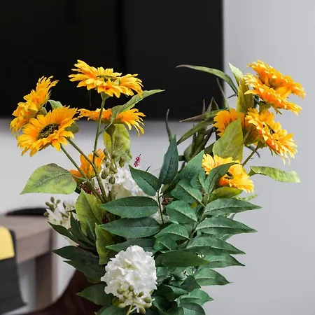 Daire Chwaliszewo With Free Garage By Renters Poznan