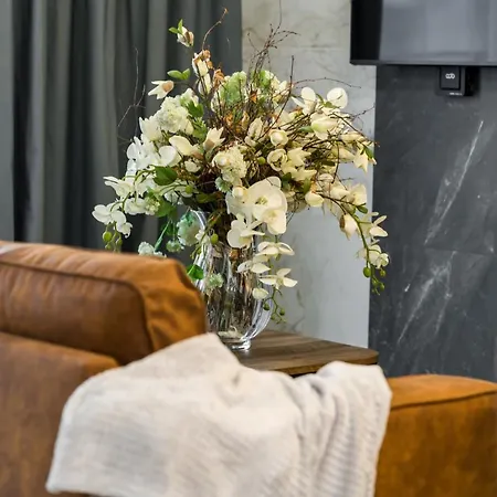 Apartment Chwaliszewo With Free Garage By Renters Poznan