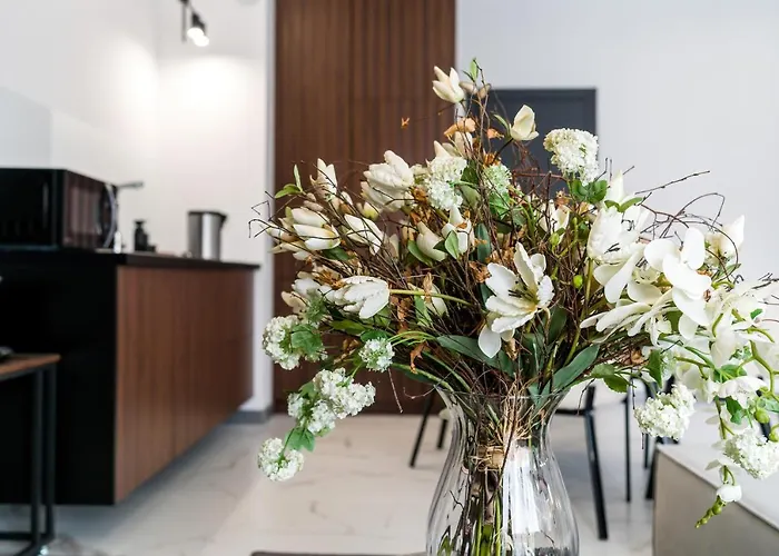 Lägenhet Chwaliszewo With Free Garage By Renters