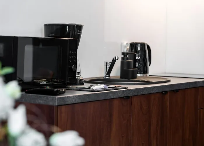 Lägenhet Chwaliszewo With Free Garage By Renters *